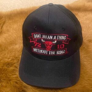Vintage Chicago Bulls Hat 1995-96 Historic Season.